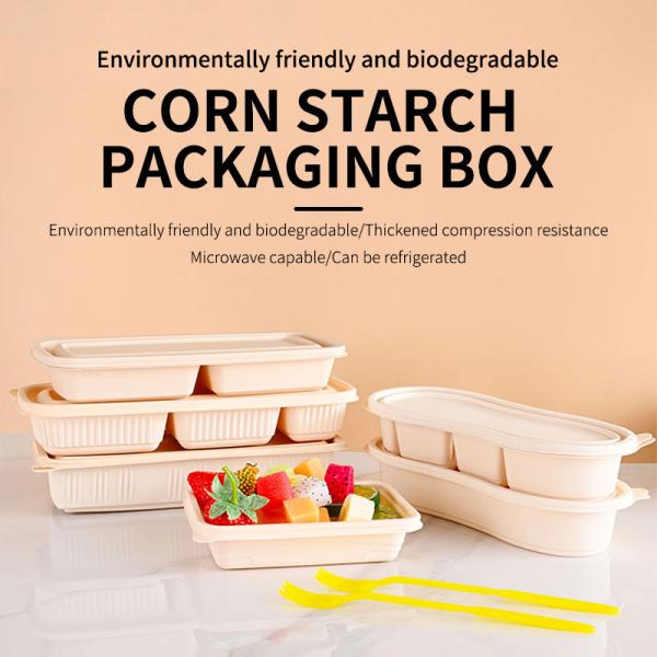 Quality Multi Compartment Bio Degradable Food Packaging Custom Rigid Boxes wholesale