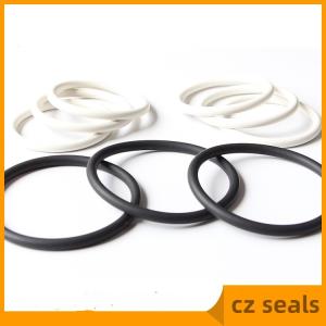 Free NBR Injector Oil Seal Ring EPDM FKM Nitrile Rubber O Rings