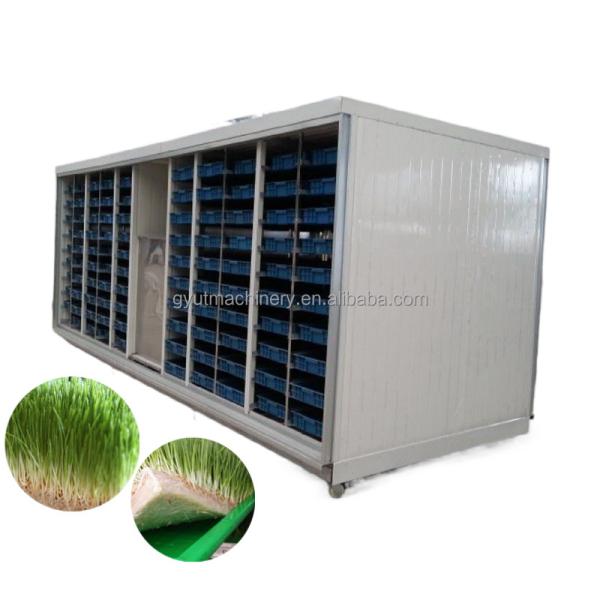 40HQ Container Hydroponic Fodder System Automated Barley Grass Growing for