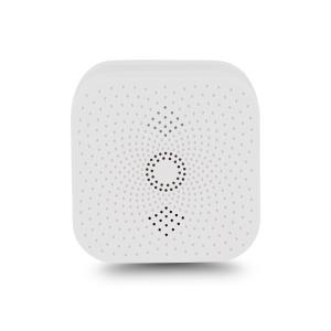 Methane Gas Alarm Detector In Chile With CE RoHS Approved