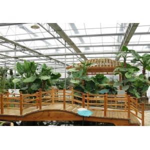 Juxiang's Humidity-Controlled Planting Facility The Perfect Solution for Plant
