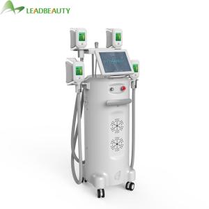 Cryolipolysis Cryotherapy Slimming Machine Price Fat Freezing Machine CE loss