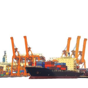 FCL LCL Sea Container Shipping 40HC With Dangerous Goods Transportation