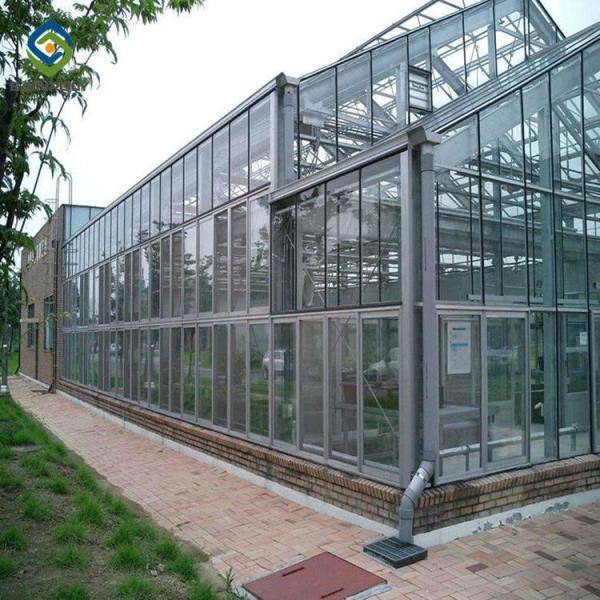 Quality Vegetable Fruits 0.4KN/M2 9.6m Multi Span Greenhouse wholesale