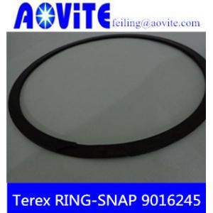 China Terex TR100 off-highway truck snap ring 9016245 on sale