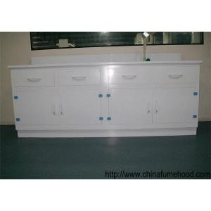 Direct Manufacturer Laboratory Bench With PP Material