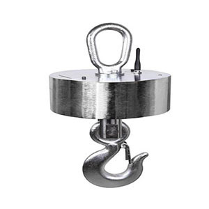 Wireless Hanging scale /WCS-1,/indictor with printing/economical