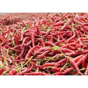 Dehydrated Vegetables Paprika Dried Red Chilli Peppers Spices And Herbs