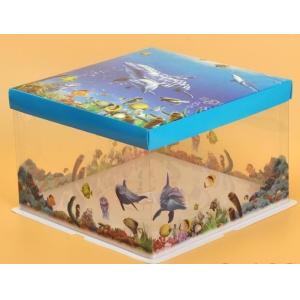 China Disposable Clear/transparent Sandwich/cake Plastic Food Container/box/packaging,cheap cake boxes with clear window,custo on sale