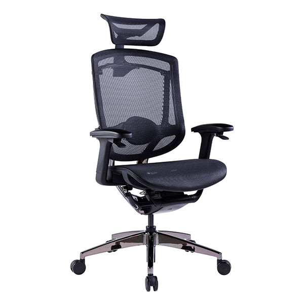 Black Back Support Computer Desk Chair Multifunctional Adjustable Ergonomic