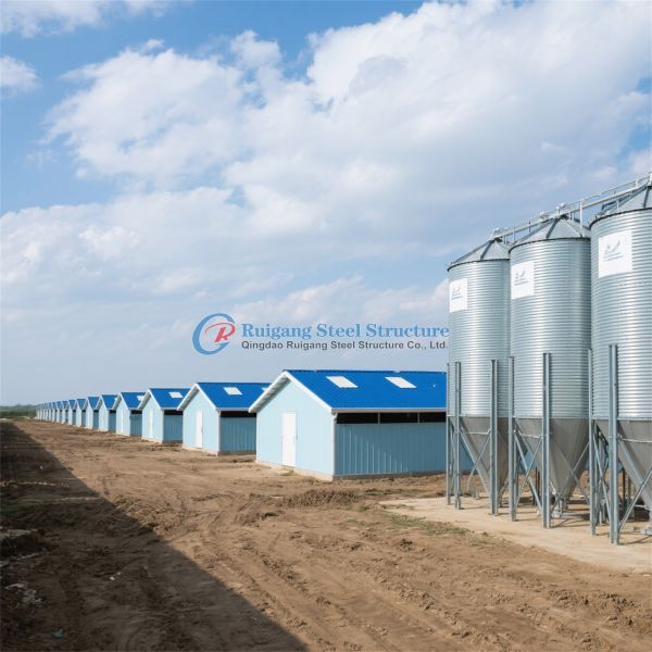 Quality Prefabricated Steel Structure Engineer Building Poultry Farm Chicken House wholesale