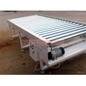 High Reliability Automated Conveyor Systems , Simple Structure Chain Roller