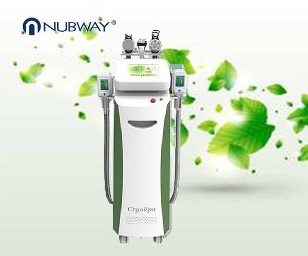 Quality double air pump super cooling -15℃ cryolipolysis body slimming machine wholesale