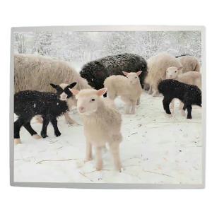 17 Inch Small Lcd Panel 30 Pin Connector Design