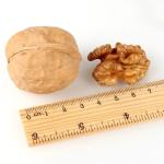 Raw Walnuts in Shell Resealable Bulk Bag for Ultimate Freshness Whole Walnuts
