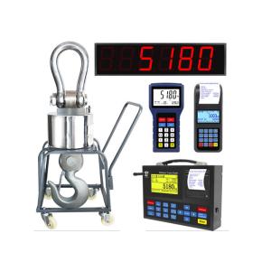 20T Battery Supervision SS Hanging Weighing Scale
