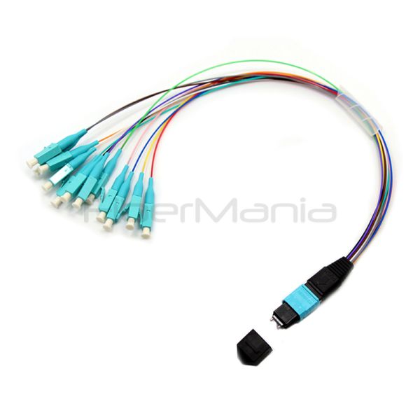 Quality MPO Patch Cord MTP to LC Cable with 12 Core Ribbon Fiber 0.9mm Cable and 12 Color Fanout wholesale