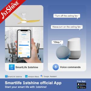 Home 52 Inch Low Voltage Energy Saving Remote Control LED Ceiling Fan with Light