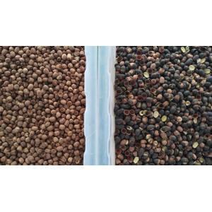 High Throughput Lotus Seeds Color Sorter CCD Camera 512 Channels