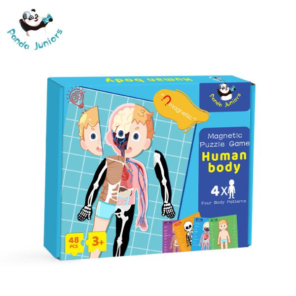 Quality Magnetic Human Body Jigsaw Puzzle Preschool Creative Cognitive Skills Training wholesale