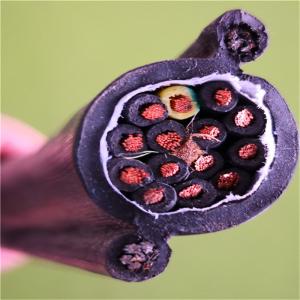 Round Pendant Control Cable with 2  Steels  For Crane and Lifter RVV2G 16*1.5MM2