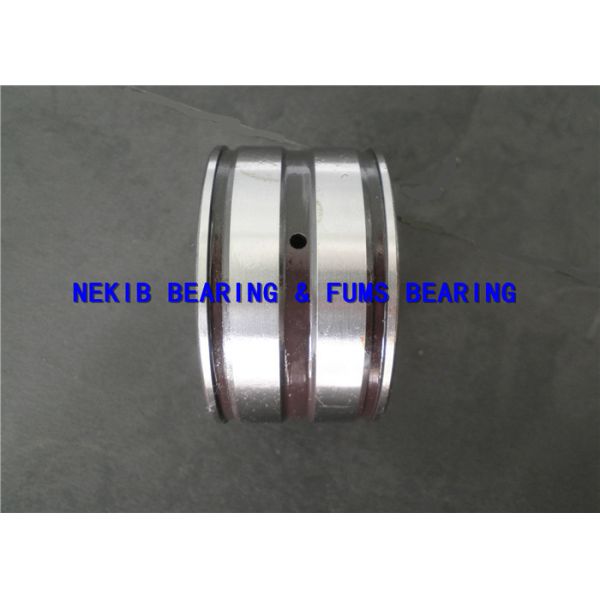 High Precision Full Complement Cylindrical Roller Bearings SL04 5005PP