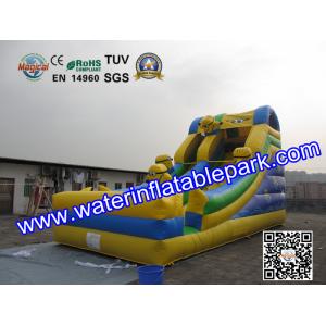 Inflatable Water Slide For Amusement Park / Inflatable Pool Slide