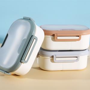 Office Worker Student Microwave Plastic Lunch Boxes With Cutlery
