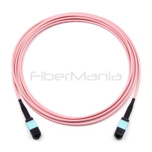 MPO Female to MPO Female Trunk Cable Assembly 12 Fibers Polarity A OM4 Pink