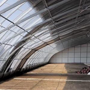 Maximize Your Produce Yield with this Large Hydroponics Vegetable Sunlight