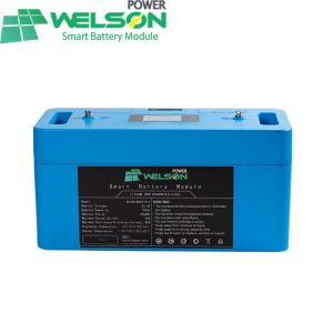 12v Bms Lifepo4 Lithium Iron Phosphate Batteries For Solar Storage 100ah 6000