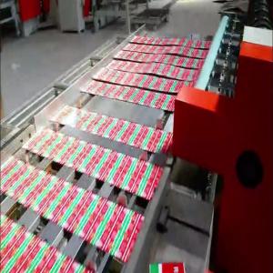 Efficiency And High Quality Tinplate Sheet Duplex Slitter Cutting Machine