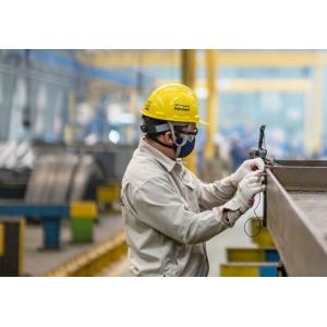 Provide Sample DR7 DR8 DR9 SPCC Q195L T2 T3 T4 T5 ETP Plate Coil Factory