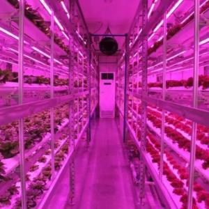 Customization JX-CG-125 Vertical Farming Container Greenhouse with Hydroponic