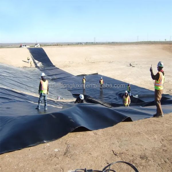 Project Solution Capability HDPE Geomembrane Aquaculture Fish Farm Pond Liner 0