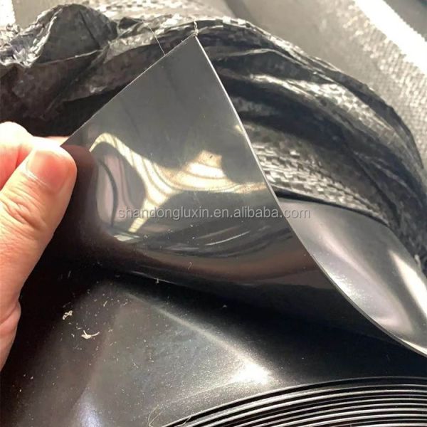 Quality 1mm HDPE Geomembrane for Fish Pond and Landfill Double Smooth/Double Texture Surface wholesale