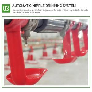 Chicken Coop Automatic Poultry Farm Equipment With Ventilation System