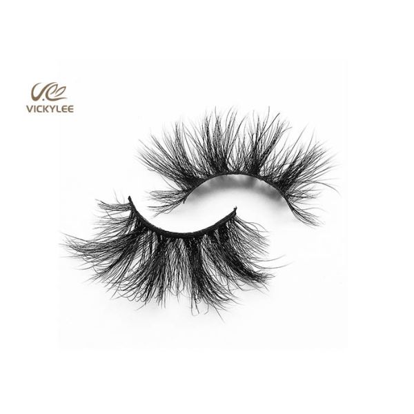 Fan Shaped Whole Strip Cotton Stalk 5D Volume Lashes