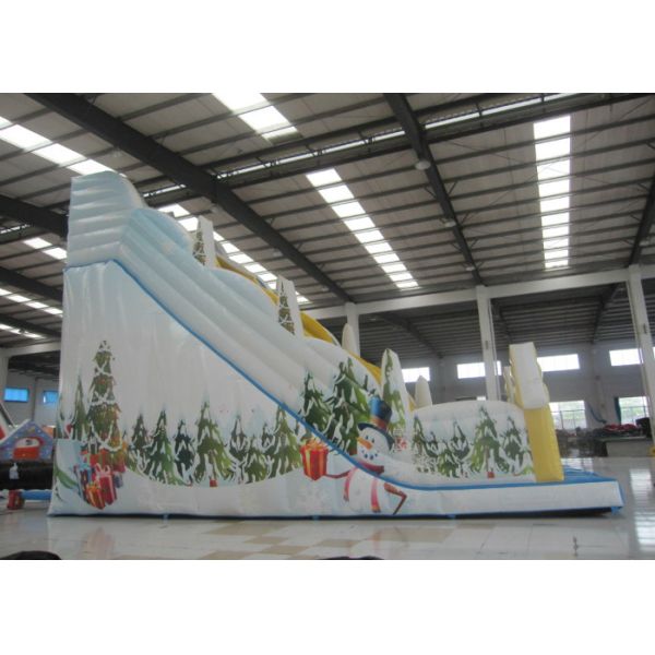 Big Inflatable Water Slides