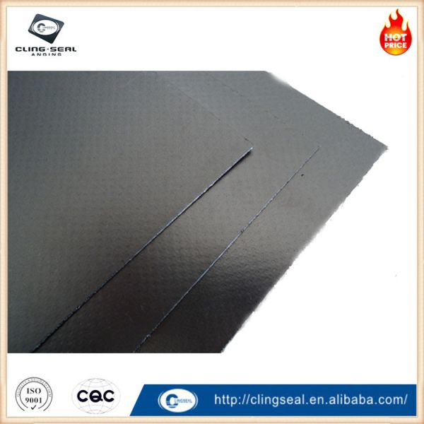 Chemical Resistant Graphite Gasket Sheets for Pharmaceutical and Biotech