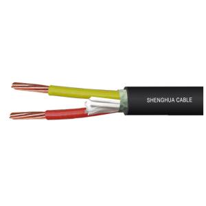 Two Cores Stranded Copper Conductor 1kV PVC Insulated Cable with PVC sheathed