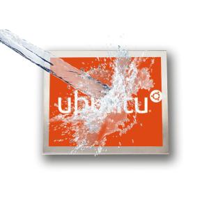 IP67 Waterproof Stainless Steel Panel PC All In One Fanless Touch Screeen DC 12V