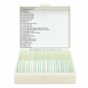 Prepared 25pcs Lab Research Odm Histology Microscope Slides