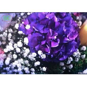 Outdoor SMD And DIP P10 Led Display , Led Video Screen Water Proof Cabinet