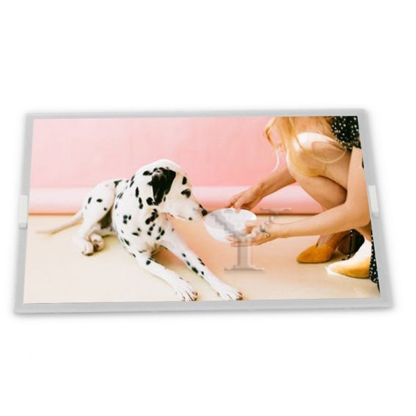 Quality LM190E0A-SLA1 19 Inch 1280*1024 Lcd Panel wholesale