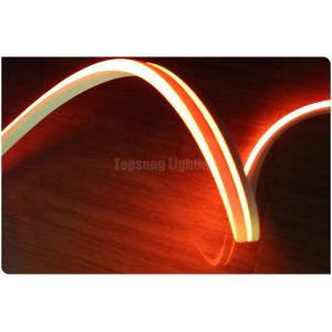 Mini led Flex neon 12V for bridge architecture swimming pool light flat 11x19mm