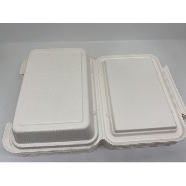 Renewable 9x6 Inch 39g Biodegradable Takeout Containers