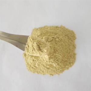 GMP Factory Detoxification Mung Bean Sprout Extract
