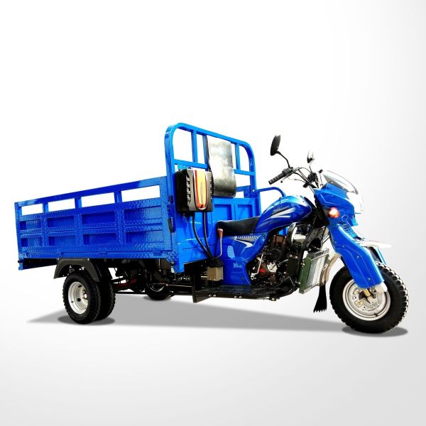 Quality 10-20L Fuel Tank Capacity Cargo Motorcycle for Three Wheeler Cargo Tricycle wholesale