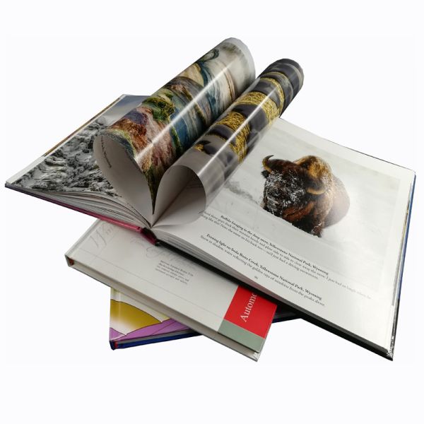 Quality Custom Creat Own Cookbook Printing Services With Vanish Lamination wholesale